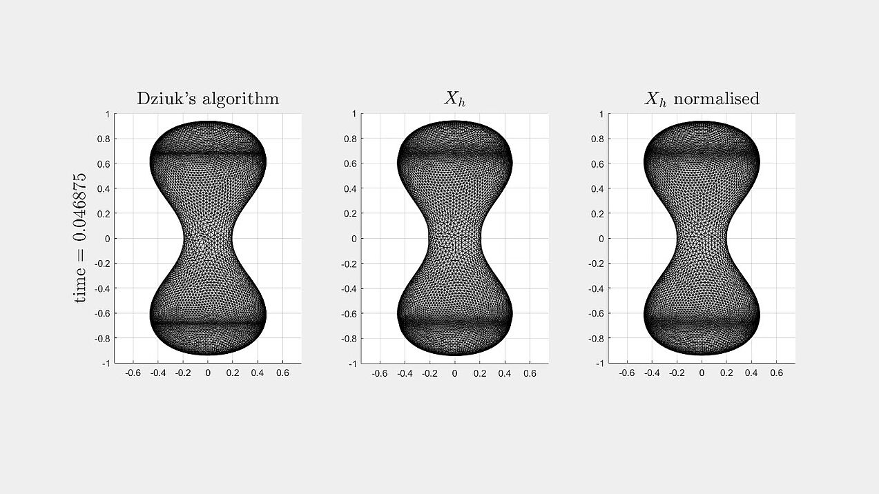 Comparing mean curvature flow algorithms