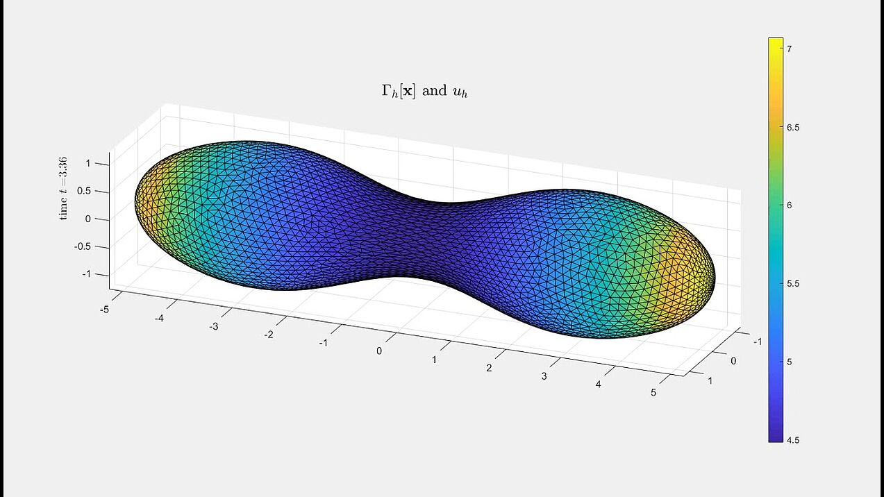 Mean curvature flow interacting with diffusion - a singular flow