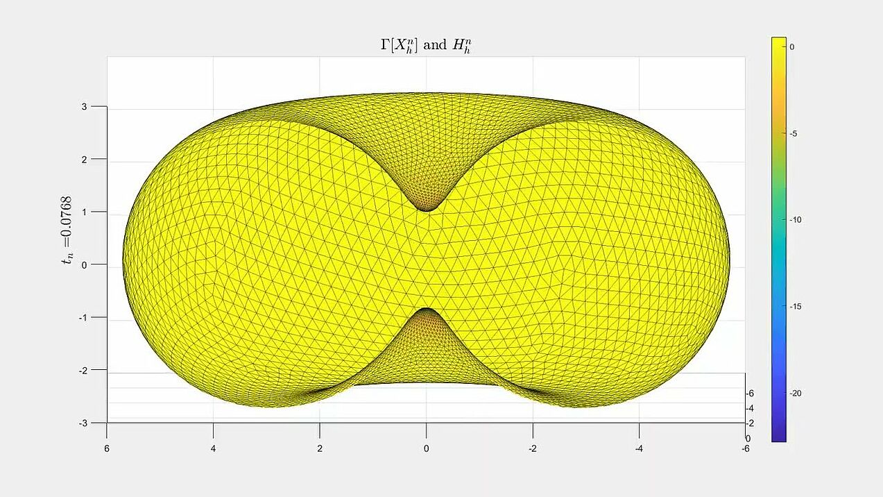 Numerical surgery for mean curvature flow for a torus merging into a sphere
