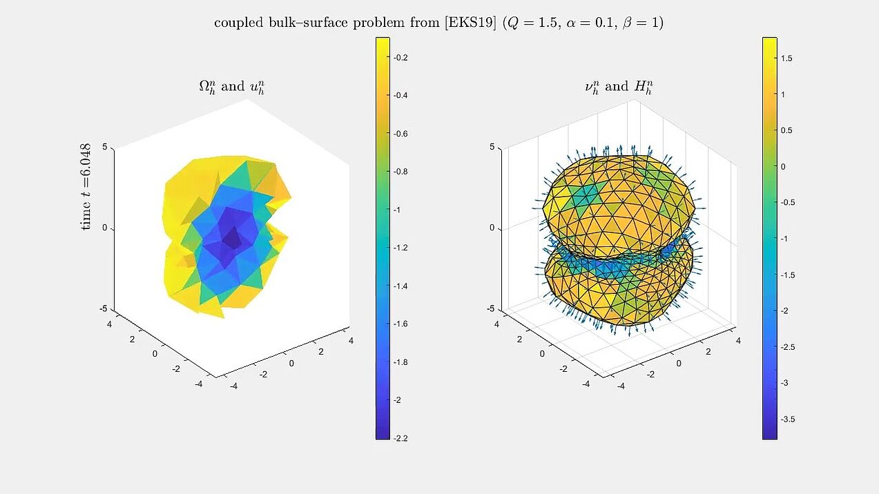 Numerical simulation of a tractable tumour growth model (alpha=0.1 beta=1)