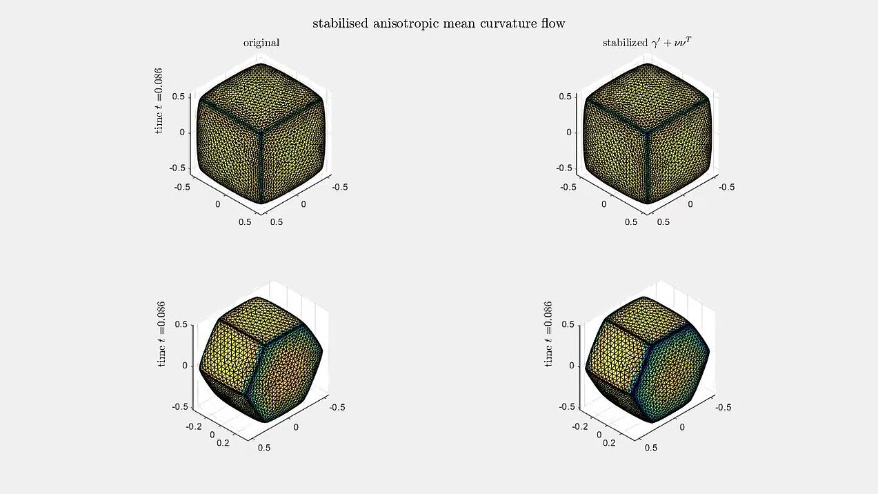 Anisotropic mean curvature flow with stabilisation