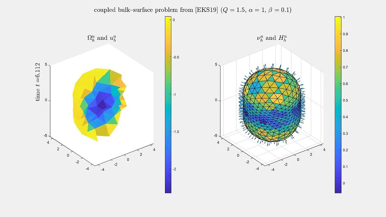 Numerical simulation of a tractable tumour growth model (alpha=1 beta=0.1)