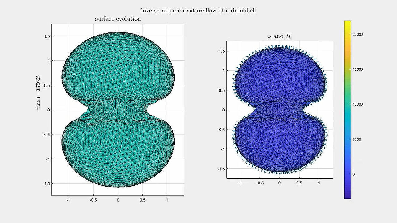 Inverse mean curvature flow of a dumbbell